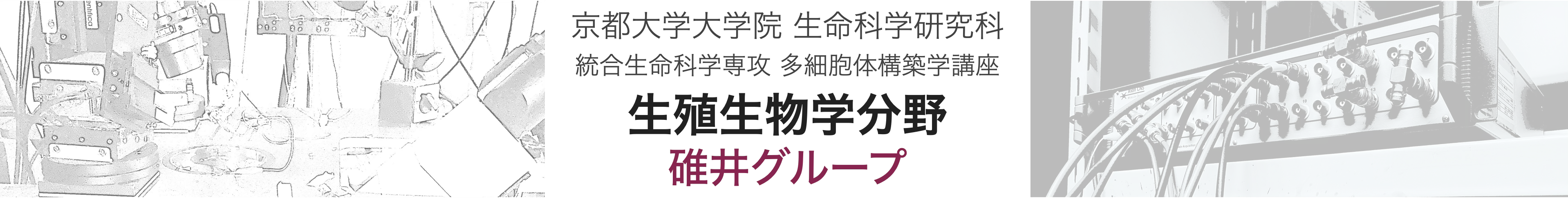 碓井グループ｜京都大学大学院　生命科学研究科　多細胞体構築学講座　細胞認識学分野